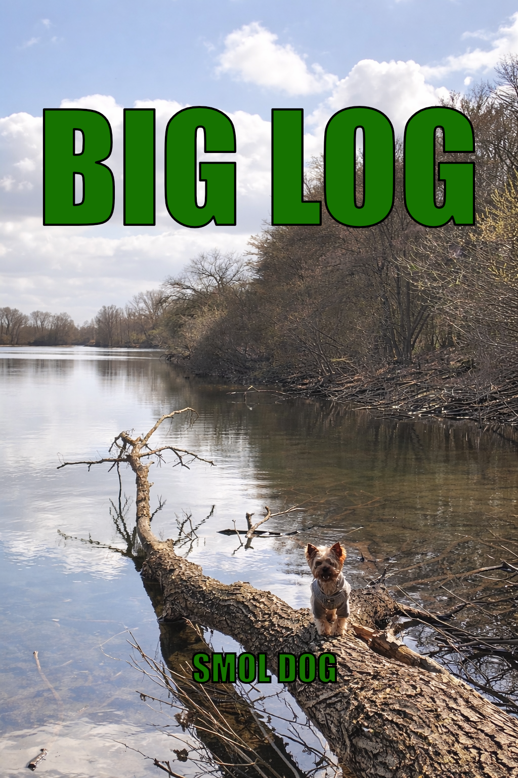 Open smol meets big dog