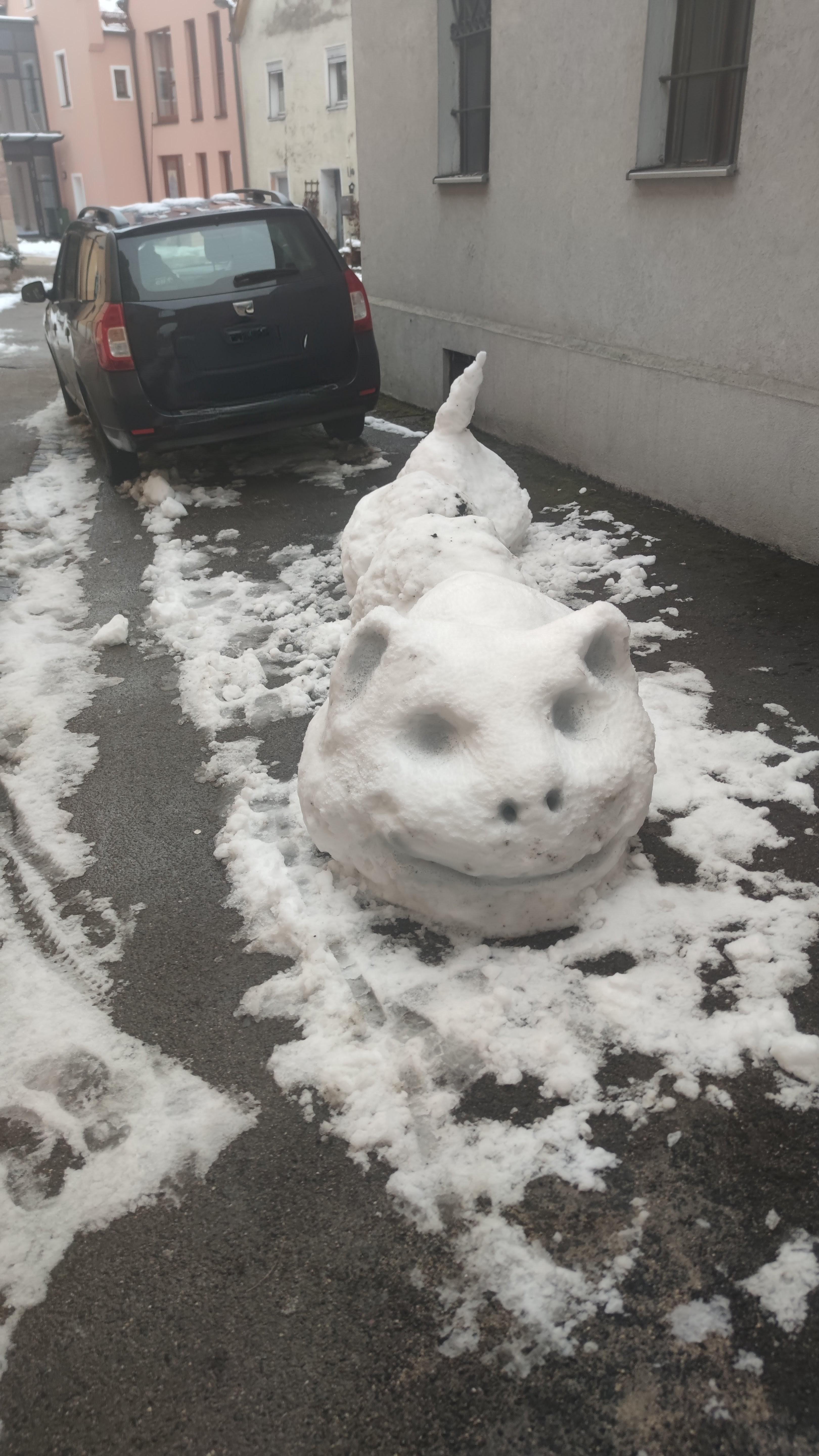 Open snow animal tricks