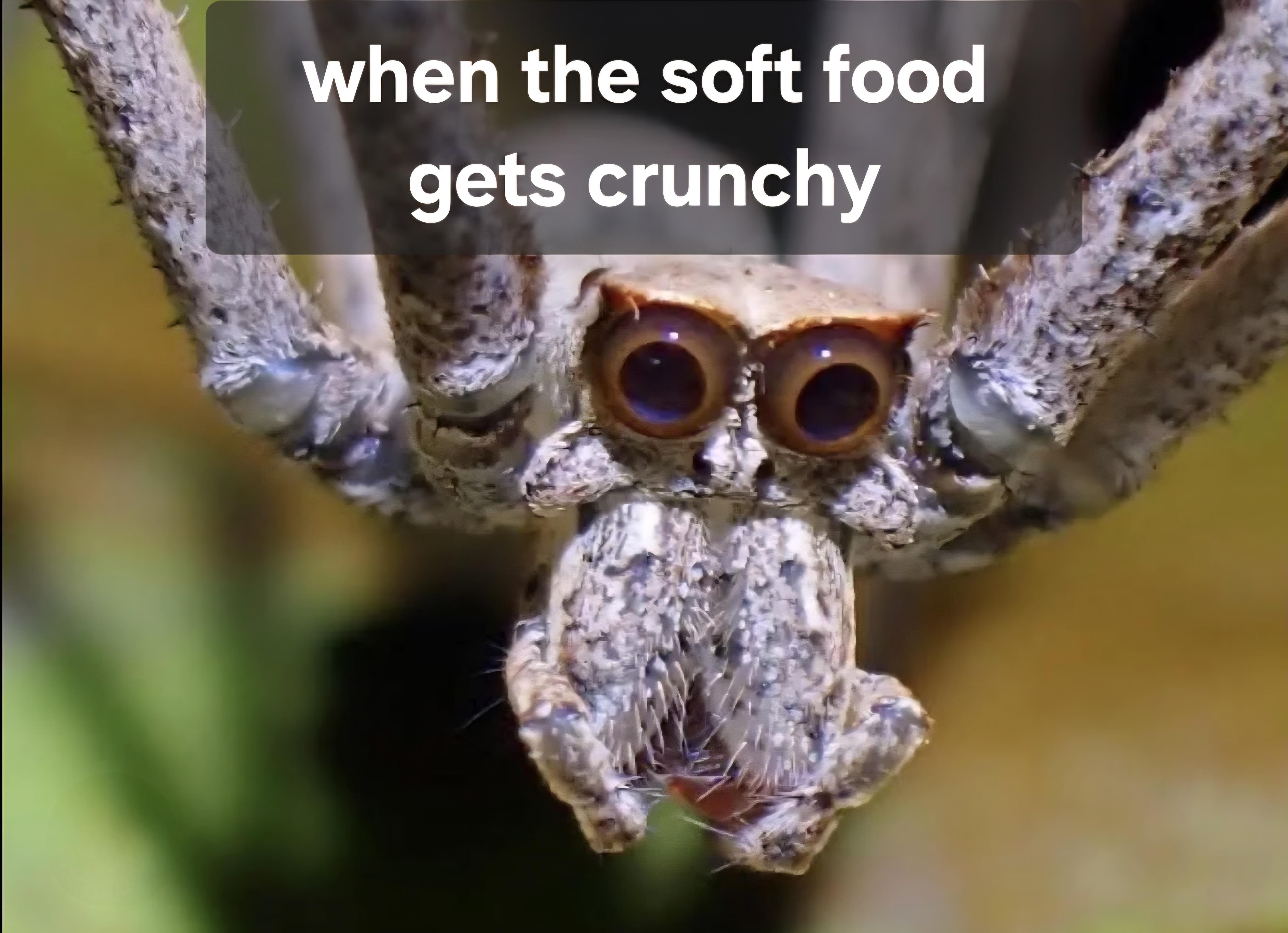 Open spider food crunch