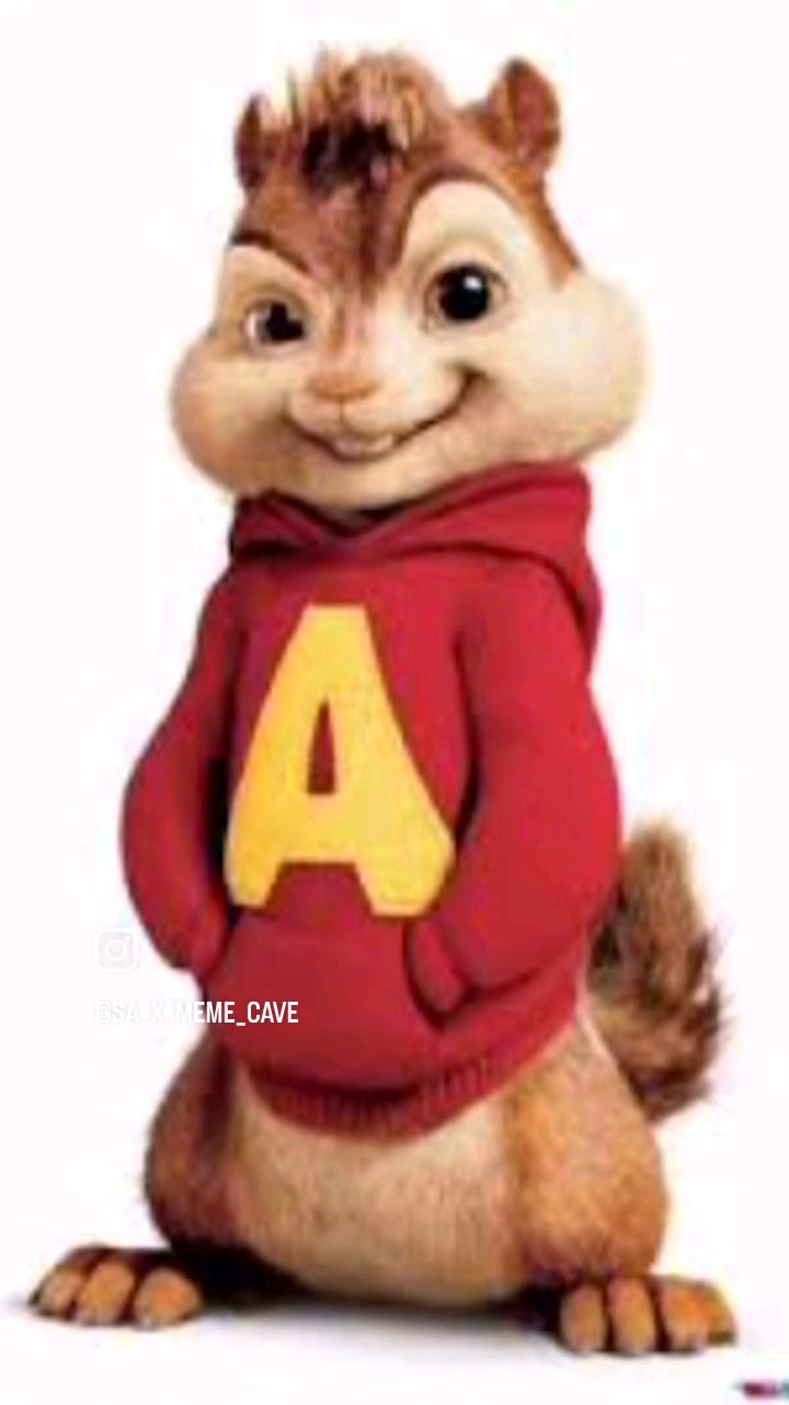 Open squirrel in hoodie