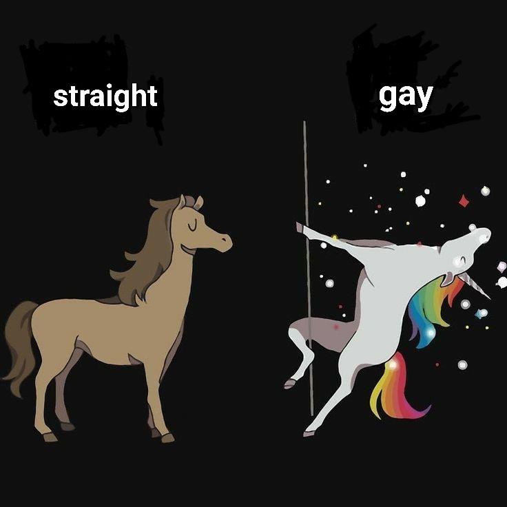 Open straight gay horse meme