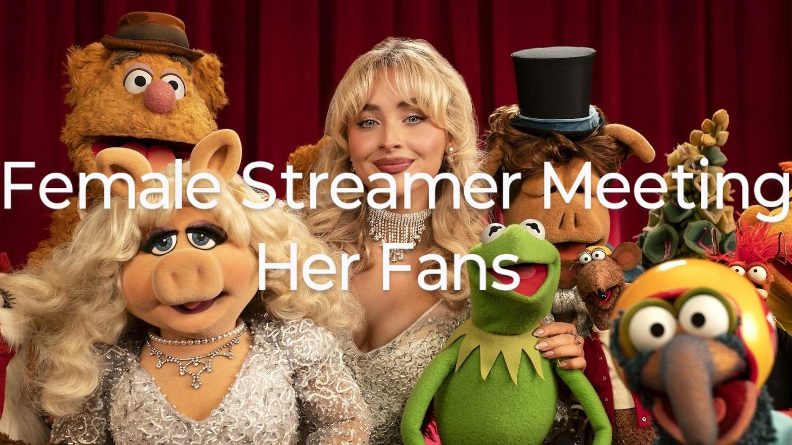 Open streamer fans meeting