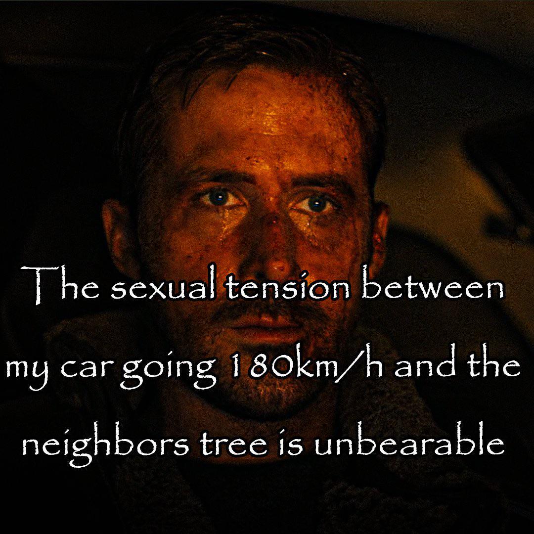 Open tension between car and tree