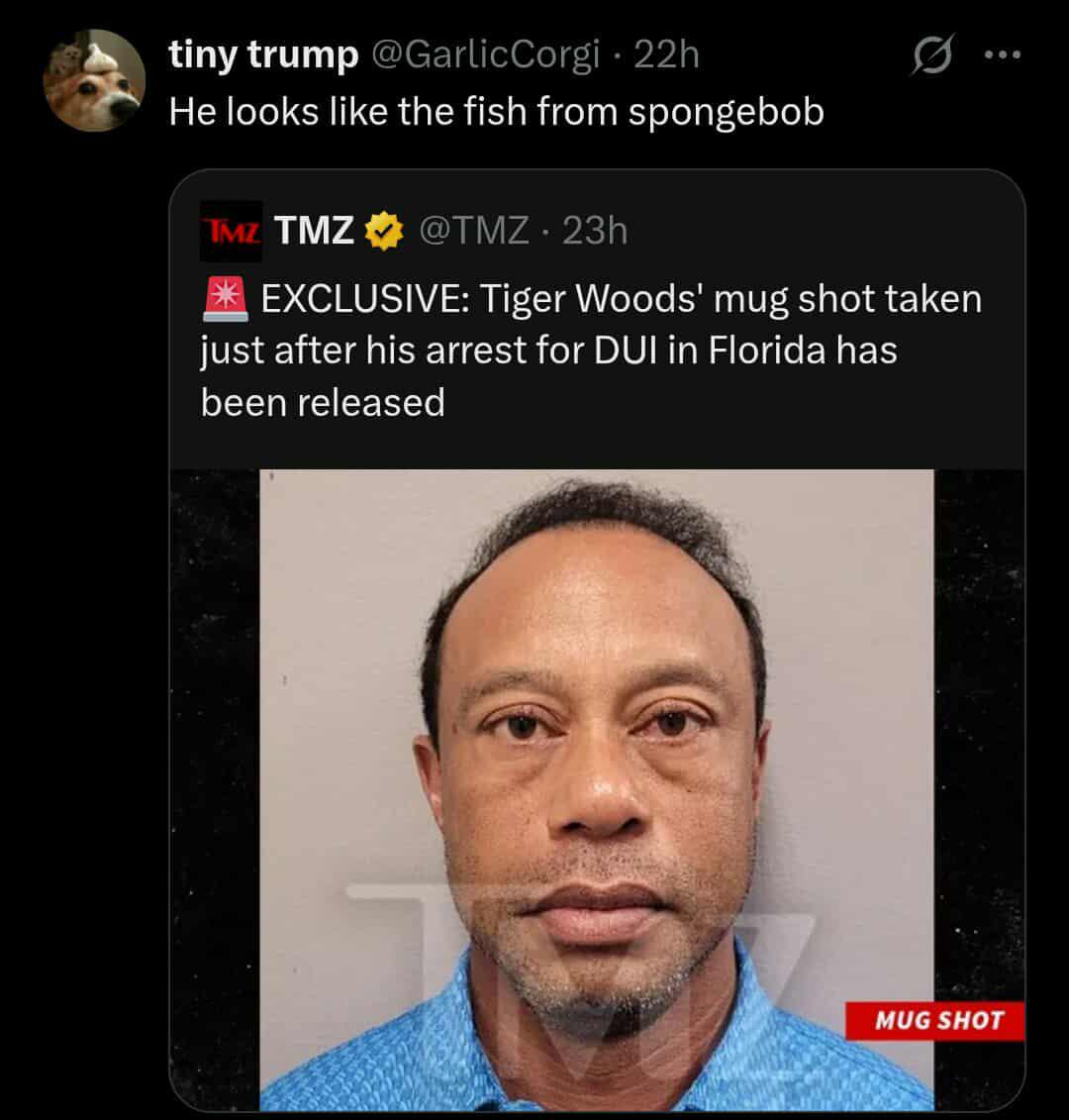 Open tiger woods mugshot spongebob
