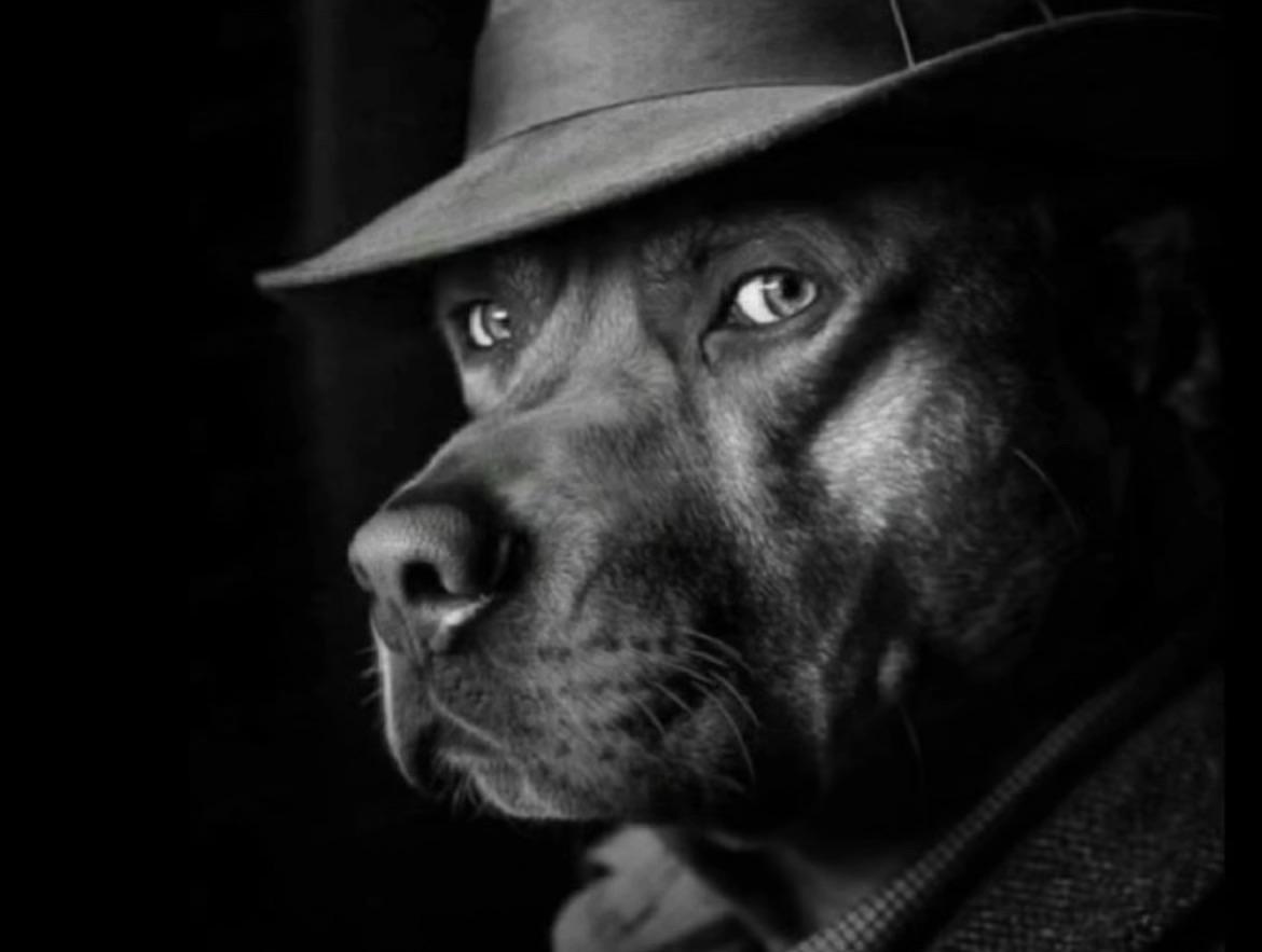 Open upvoting deserved comment