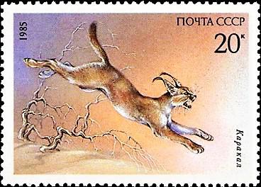 Open ussr 1985 fox postcard