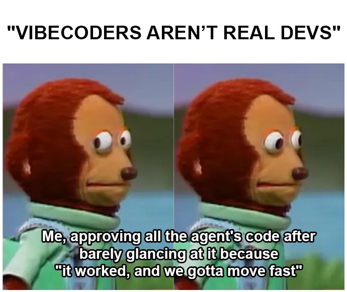 Open vibecoders arent real devs