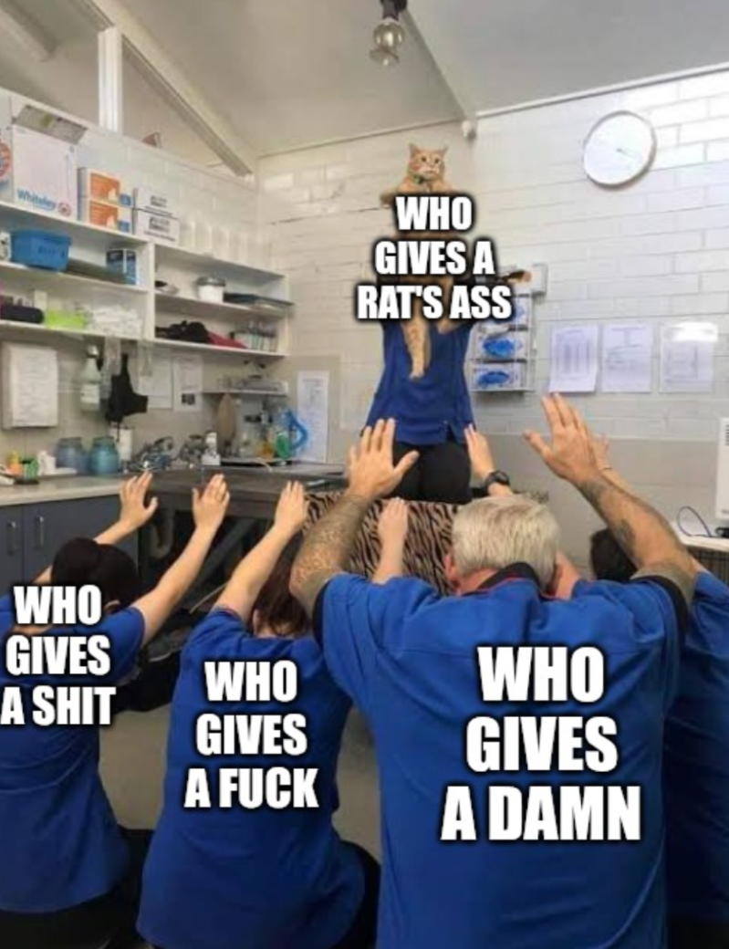 Open who gives a damn office