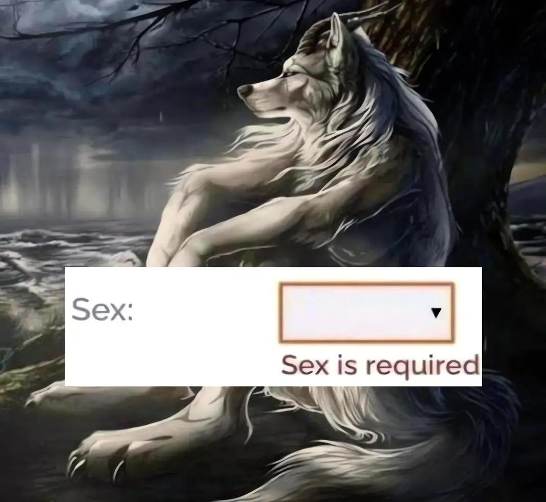 Open wolf requiring sex