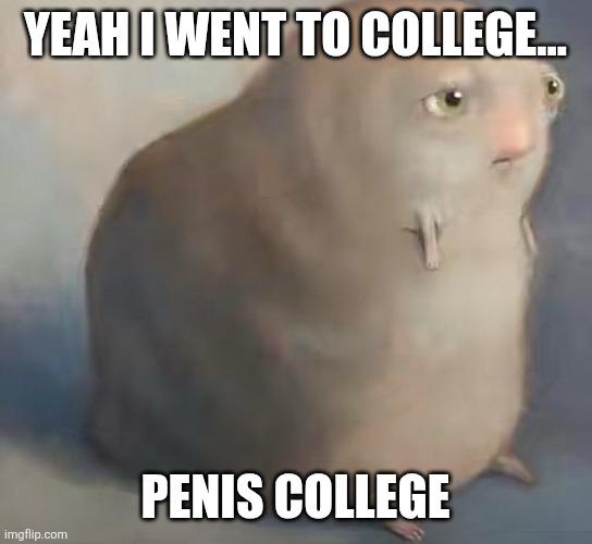 Open yeah i went to college